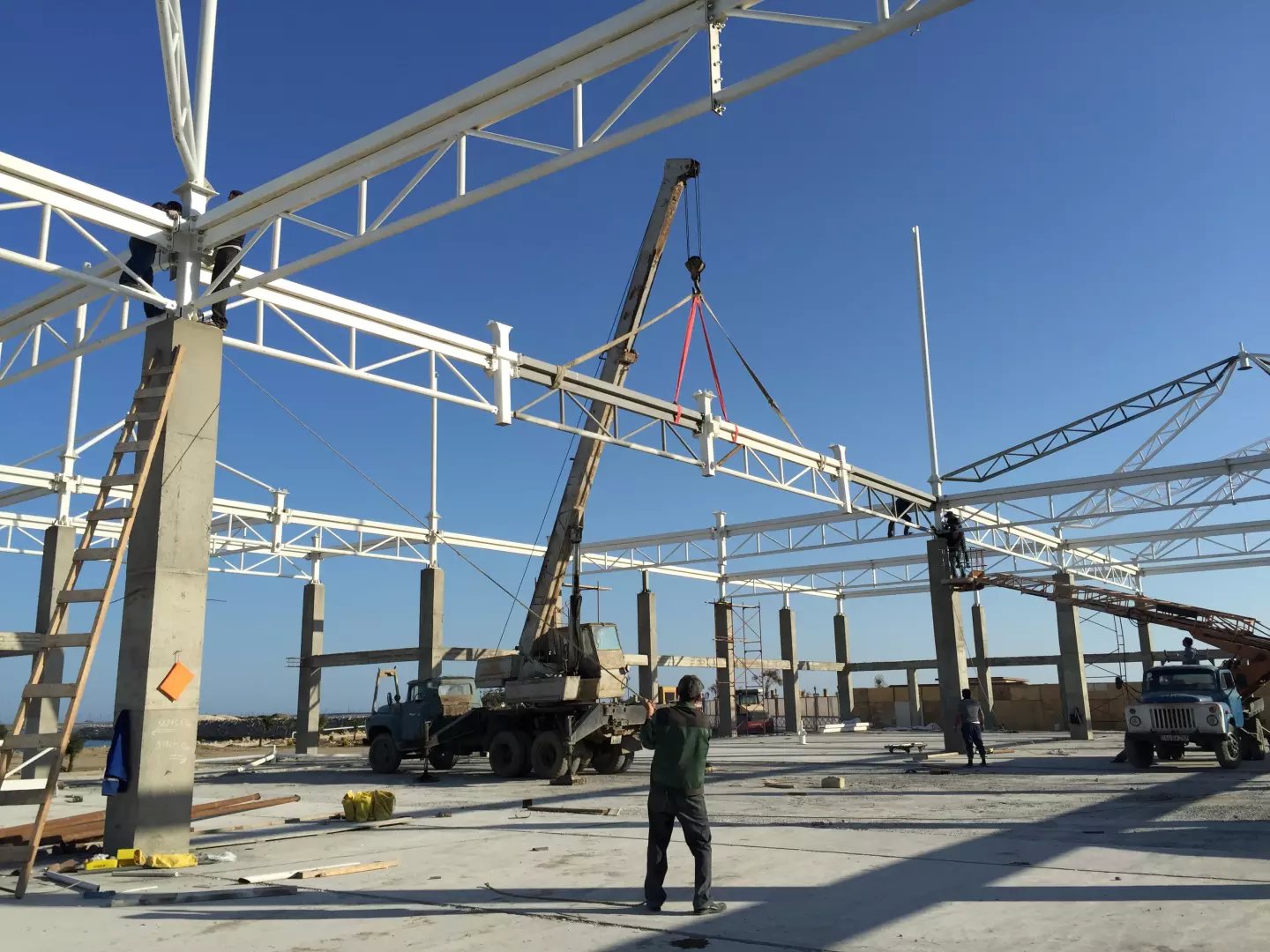 ���ϣ���ᘌ����^Ĥ�Y(ji��)��(g��u)䓲Ĳ�ͬ��׃����r���в�ͬ�ķ��l(w��i)����